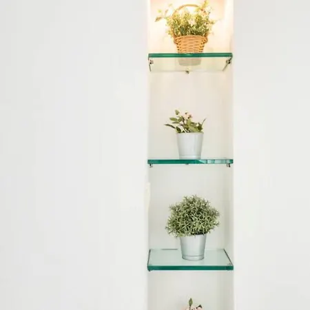 아파트 Patty Sweet Home, Centro