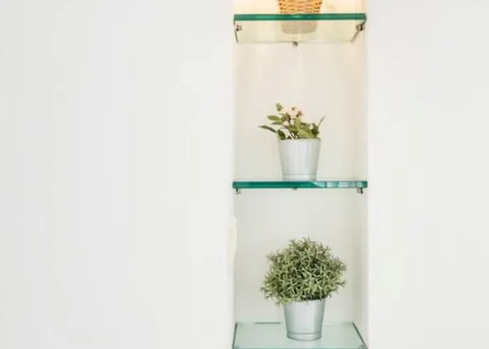 아파트 Patty Sweet Home, Centro